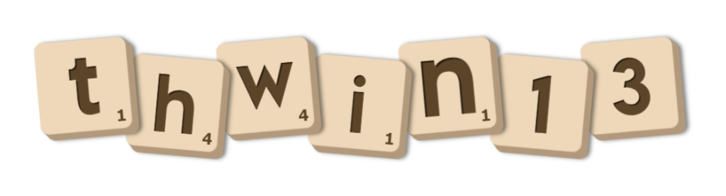 thwin13.net-logo